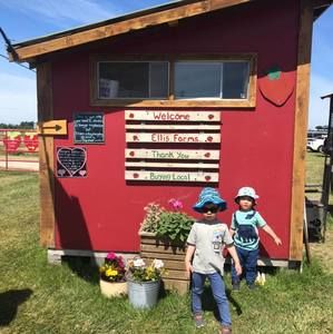 Meet your Posher, Annie